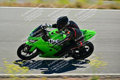 media/May-10-2024-2WTD (Fri) [[c88d7990af]]/Group C/Session 2-The Bowl/